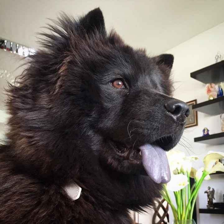 ¿Tienes un despertador besucón? - 2