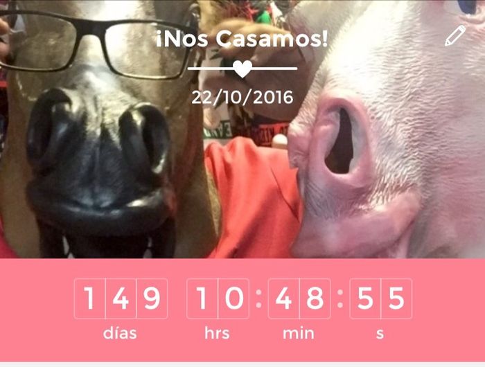 Feliz día del contador! - 1