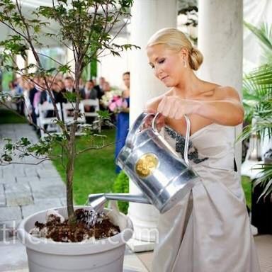 La ilusión desaparece!!! - 1