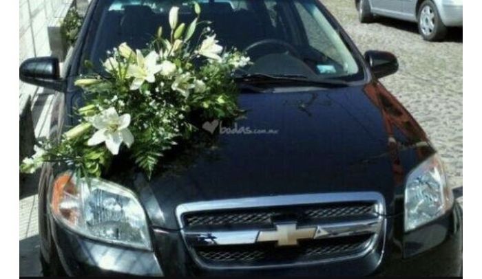 Y ahora x cual decidirse? ??? - 1