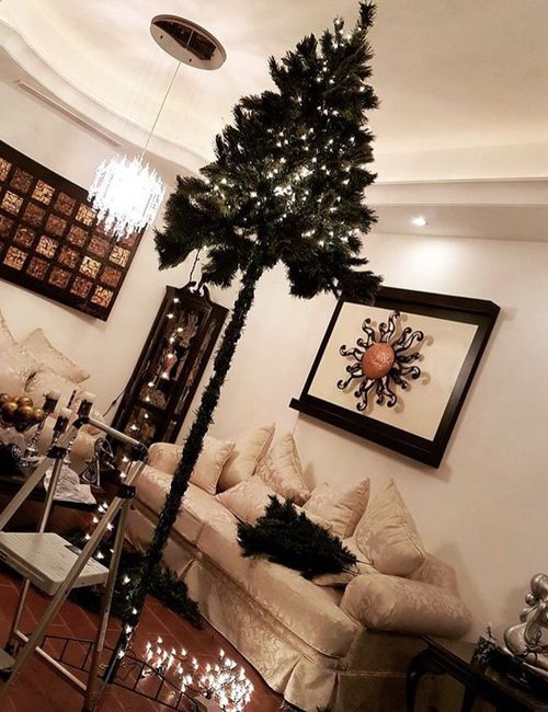 Nuestro primer arbolito de navidad - 1