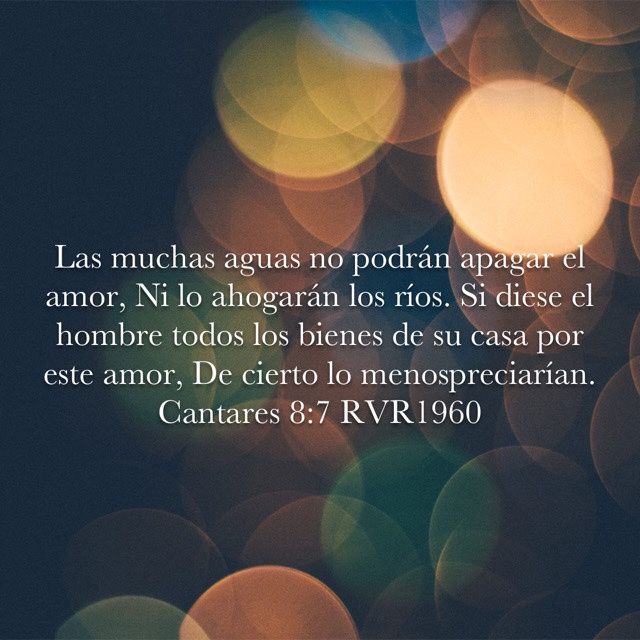 El amor !!!