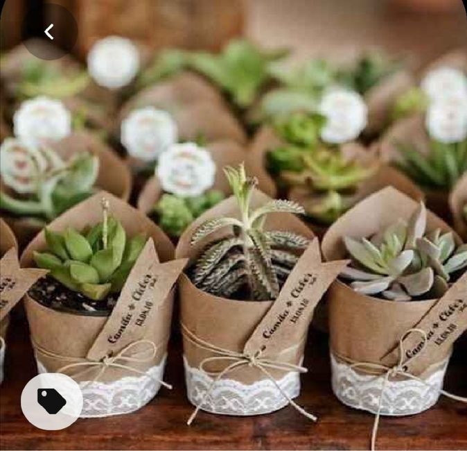 Mis recuerdos de ensueño #palmira 1