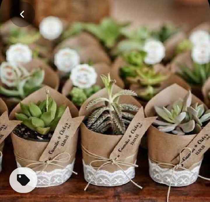 Mis recuerdos de ensueño #palmira - 1