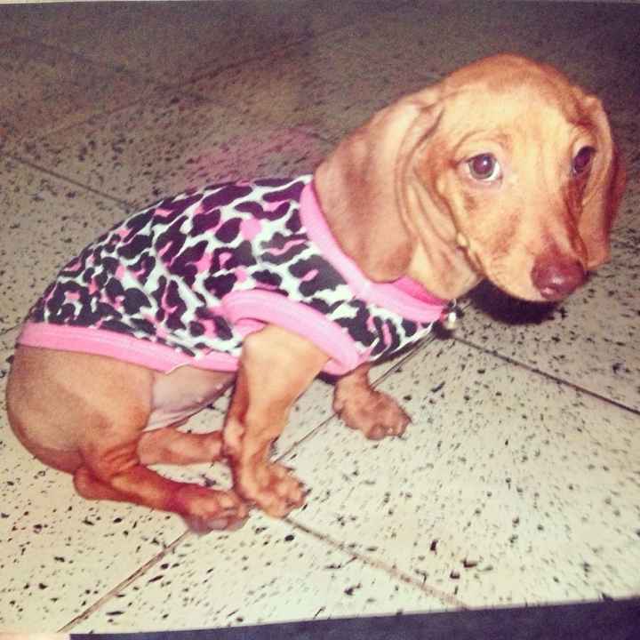 La foto de tu mascota! - 1