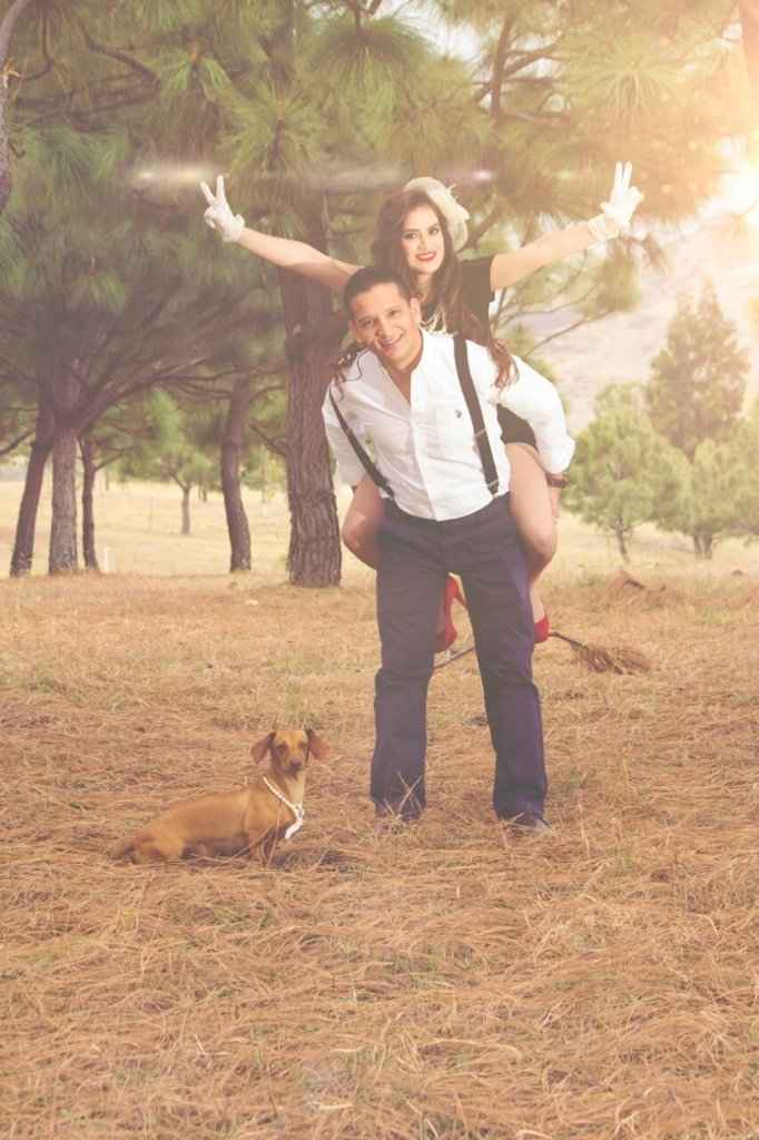 Mascotas en la boda - 1