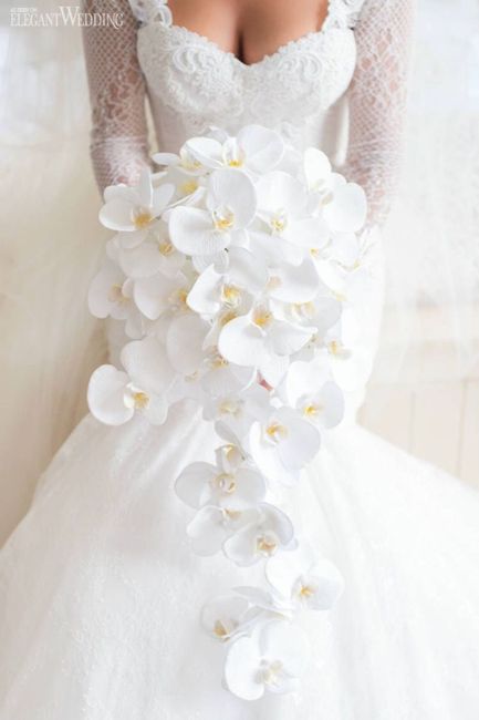 Orquídeas, un clásico para ramos de novia🌺 1