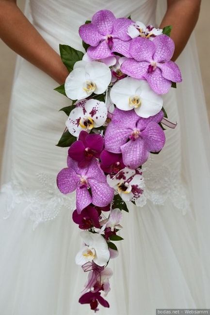Orquídeas, un clásico para ramos de novia🌺 3