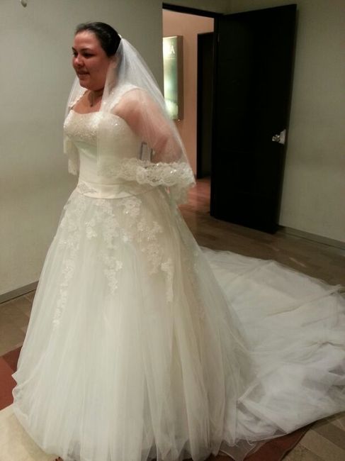 El talle y la cintura del vestido de novia - 1