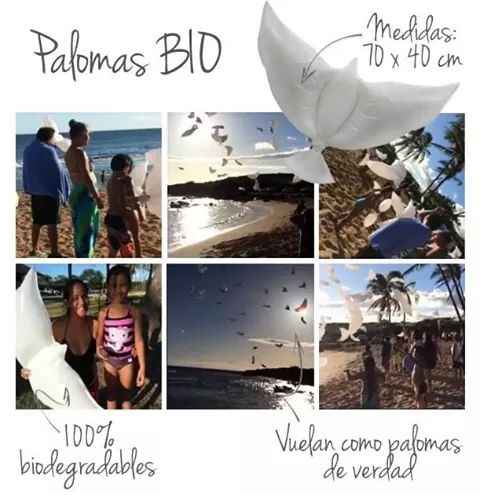 Que tienda de mty? - 1