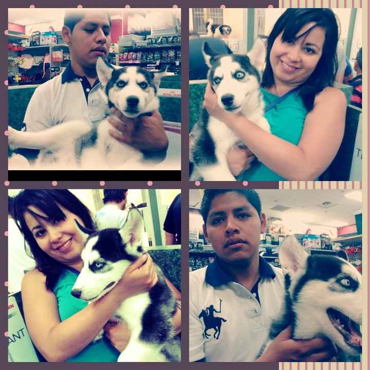 mi amor 