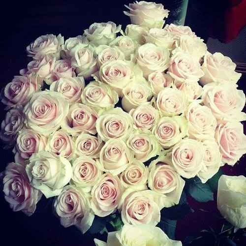 ramo de rosas blancas