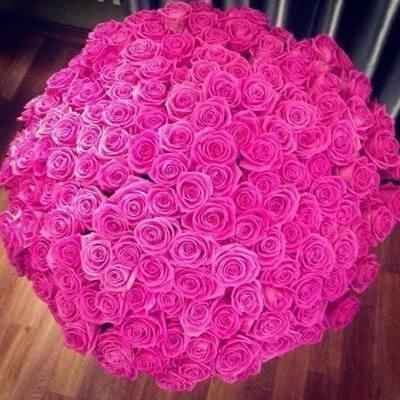 Rosas