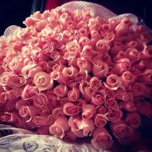 rosas