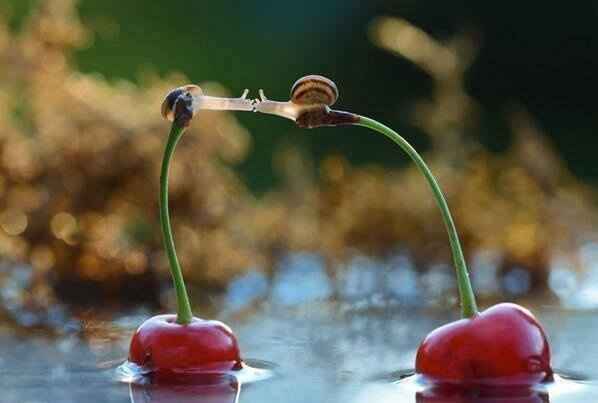 distance does not matter kiss me