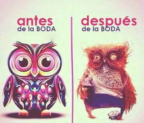 para todas las que vamos a terminar asi :(