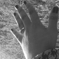 Mi anillo - 2