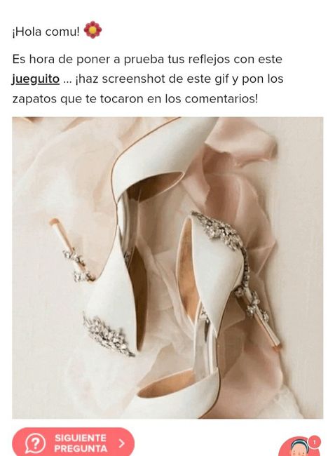 Haz screenshot y descubre tus zapatos 18