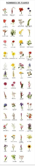 Detallitos de boda en nuevo león - 1