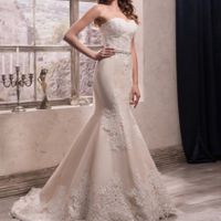 Si tu Fm tuviera que elegir tu vestido de boda.. - 1