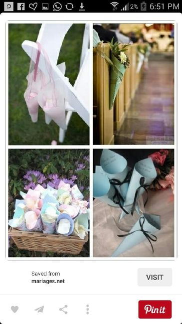 Petalos o  burbujas - 1