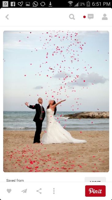 Petalos o  burbujas - 2