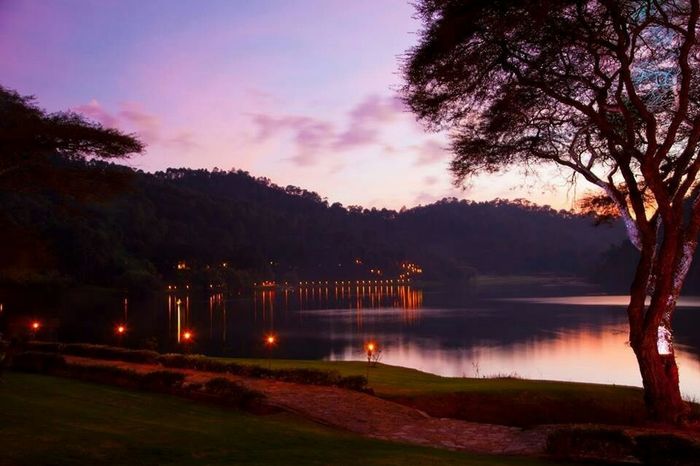 Como fue tu pedida de mano - 3