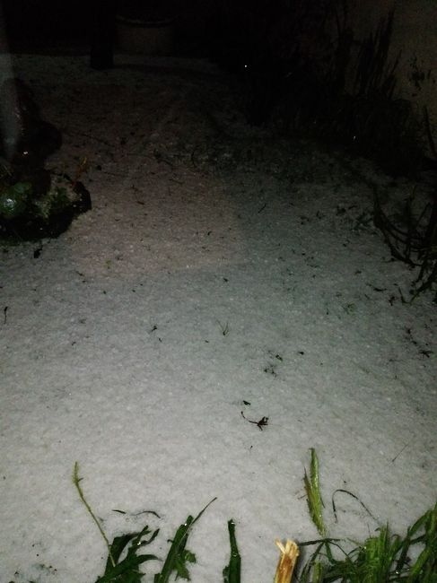 Pedida de mi mano y compromiso.            ¿cómo fue su pedida de mano? - 2