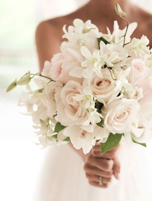 Que color es tu ramo - 1