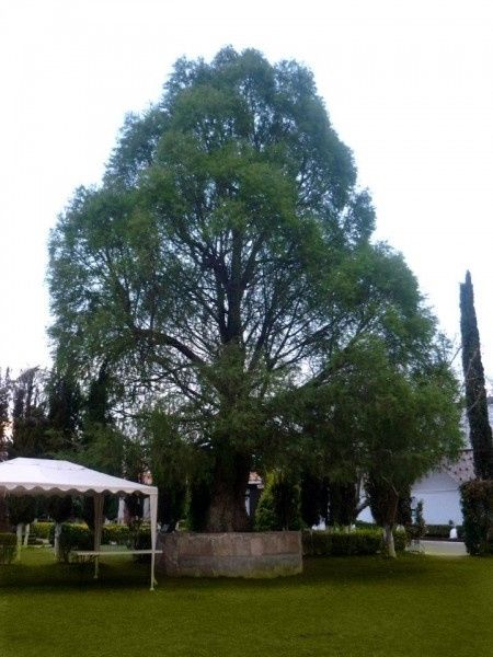 La quinta en que me casare :)