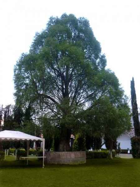 La quinta en que me casare :)