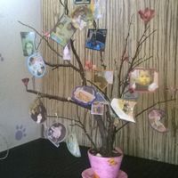 Mi mesa de dulces