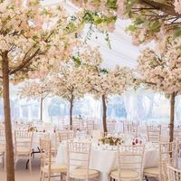 Describe con imágenes 🖼 - 1