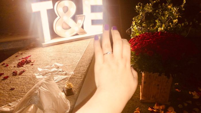 Mi propuesta de matrimonio fue__ - 1