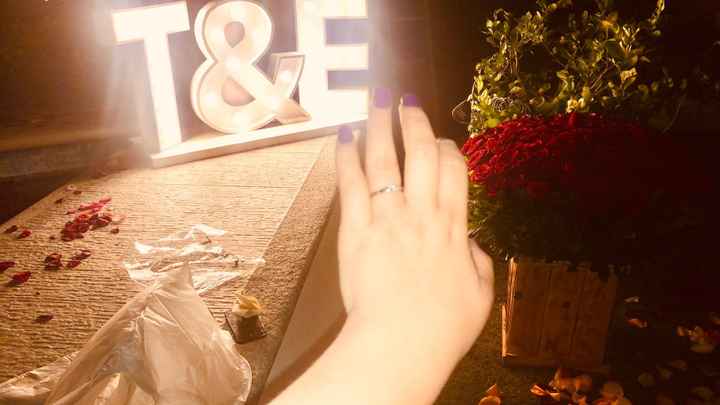 Mi propuesta de matrimonio fue__ - 1