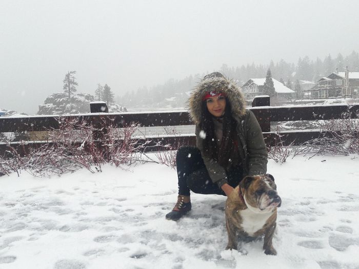  y tus mascotas ? - 1