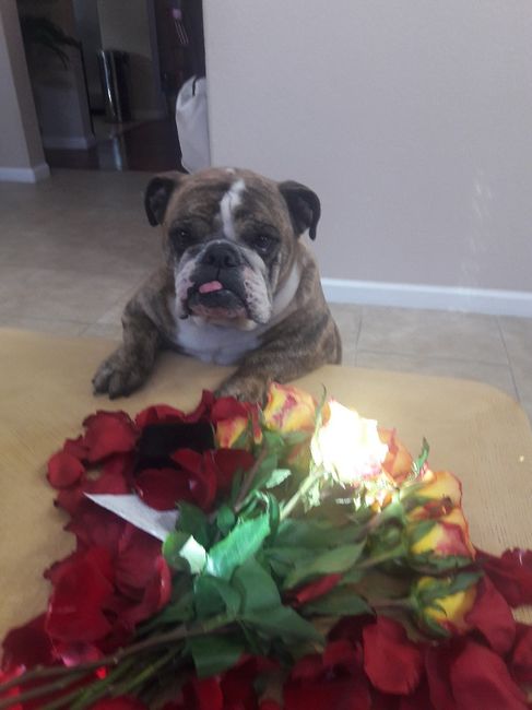  San valentin¡¡¡ sorprendida - 4