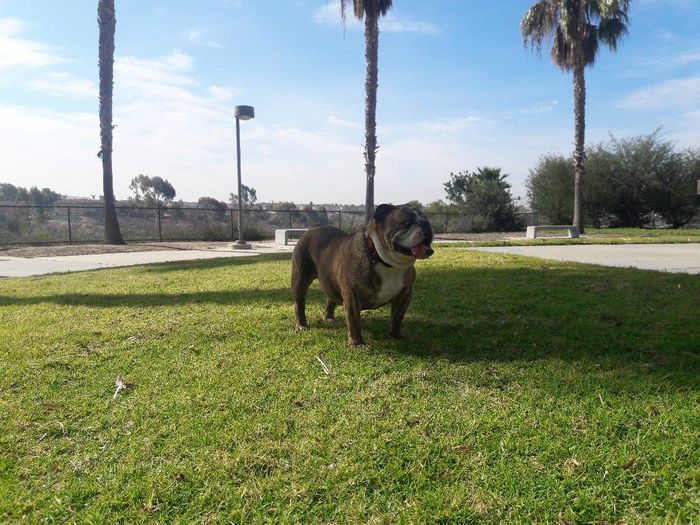 Nuestro bby, no podra acompañarnos a la boda 1