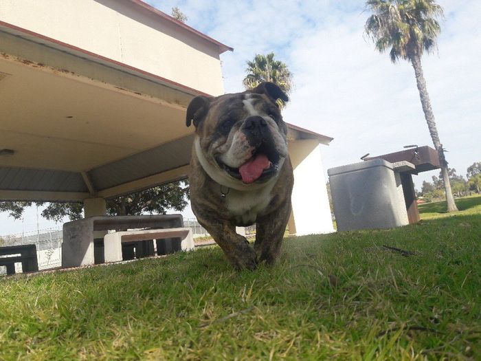 Nuestro bby, no podra acompañarnos a la boda 2