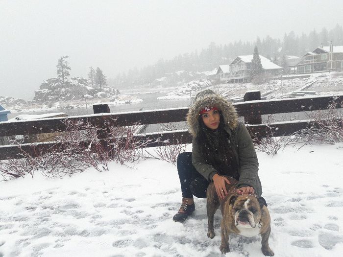 Les presento a bailey - 1