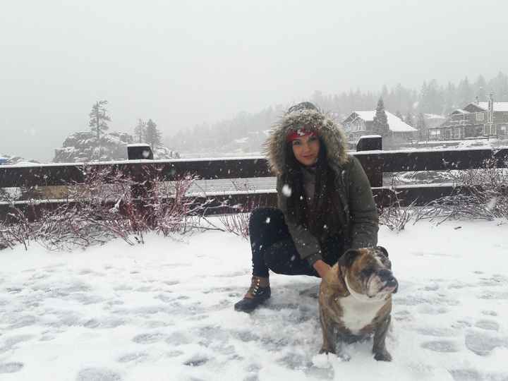  y tus mascotas ? - 1