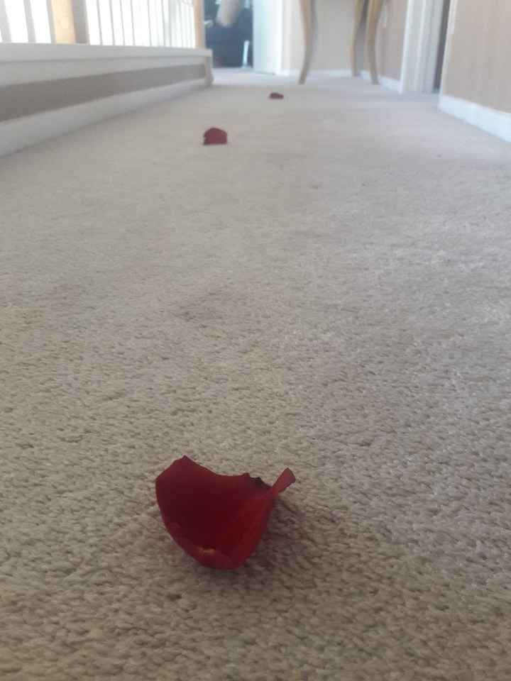  San valentin¡¡¡ sorprendida - 1