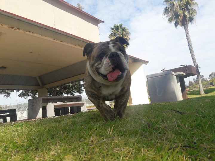 Nuestro bby, no podra acompañarnos a la boda - 2