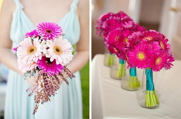 gerberas