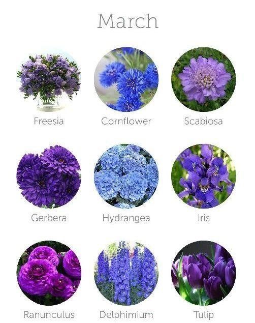 Flores de Marzo