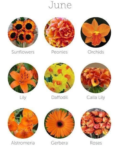 Flores de Junio
