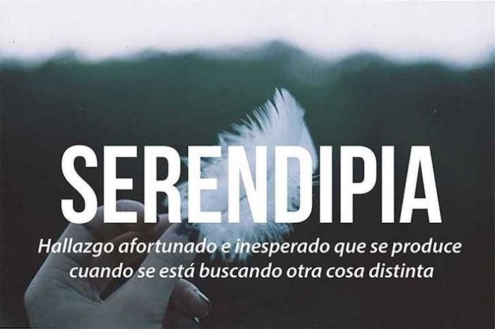 Serendipia
