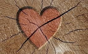 Madera