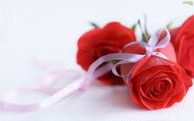 Rosas