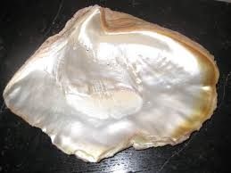 Nácar